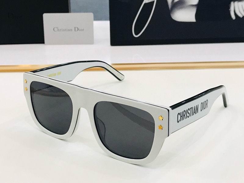 DIOR Sunglasses 448